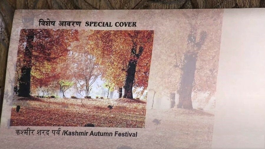 Тематика: осенний фестиваль в Кашмире